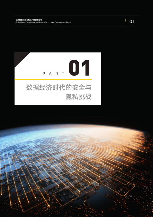 2022全球数据合规与隐私科技发展报告—技术开发篇