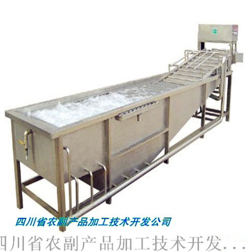 桃干与桃果脯生产一站式解决方案 技术、设备与价格解析