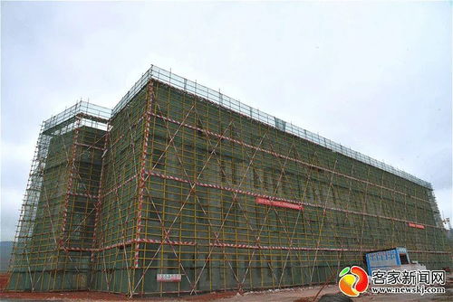 二十亿元以上重大项目现场考察与技术转让进展分析